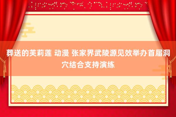 葬送的芙莉莲 动漫 张家界武陵源见效举办首届洞穴结合支持演练