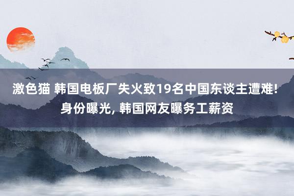 激色猫 韩国电板厂失火致19名中国东谈主遭难! 身份曝光， 韩国网友曝务工薪资