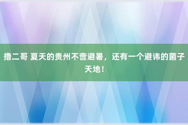 撸二哥 夏天的贵州不啻避暑，还有一个避讳的菌子天地！