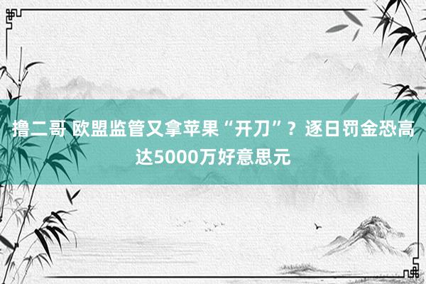 撸二哥 欧盟监管又拿苹果“开刀”？逐日罚金恐高达5000万好意思元