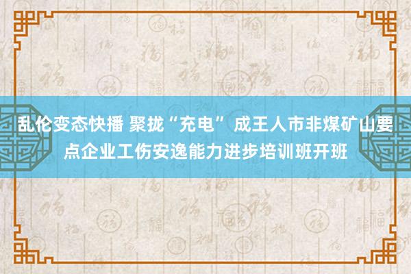 乱伦变态快播 聚拢“充电” 成王人市非煤矿山要点企业工伤安逸能力进步培训班开班