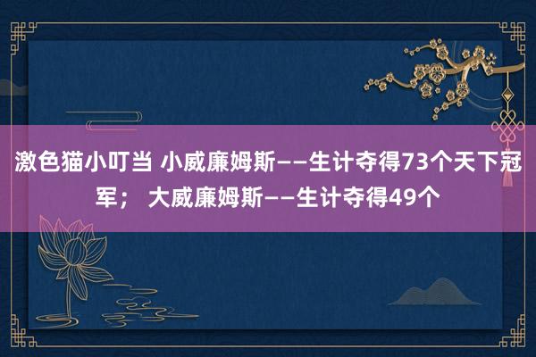 激色猫小叮当 小威廉姆斯——生计夺得73个天下冠军； 大威廉姆斯——生计夺得49个