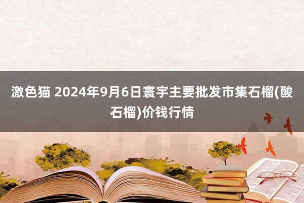 激色猫 2024年9月6日寰宇主要批发市集石榴(酸石榴)价钱行情