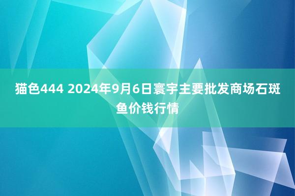 猫色444 2024年9月6日寰宇主要批发商场石斑鱼价钱行情