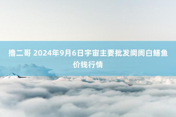 撸二哥 2024年9月6日宇宙主要批发阛阓白鳝鱼价钱行情