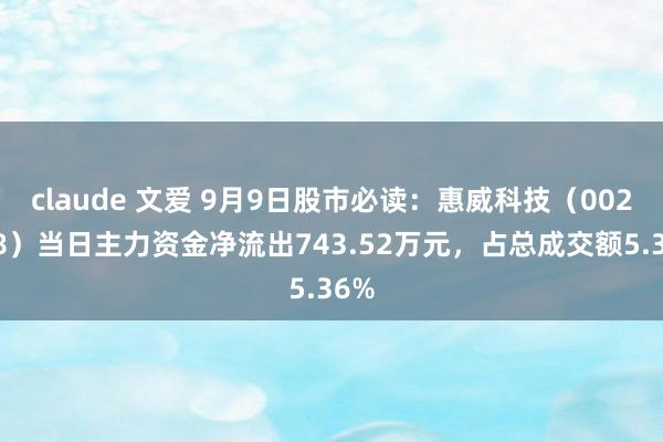 claude 文爱 9月9日股市必读：惠威科技（002888）当日主力资金净流出743.52万元，占总成交额5.36%