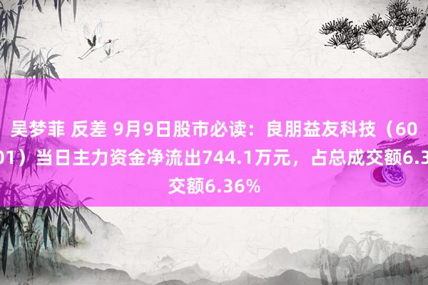 吴梦菲 反差 9月9日股市必读：良朋益友科技（600601）当日主力资金净流出744.1万元，占总成交额6.36%