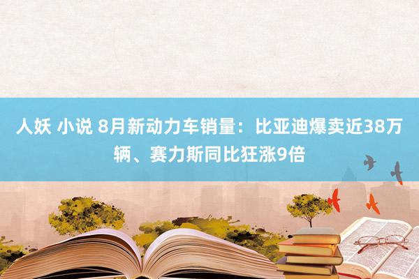 人妖 小说 8月新动力车销量：比亚迪爆卖近38万辆、赛力斯同比狂涨9倍