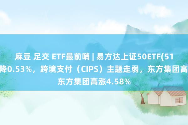 麻豆 足交 ETF最前哨 | 易方达上证50ETF(510100)下降0.53%，跨境支付（CIPS）主题走弱，东方集团高涨4.58%