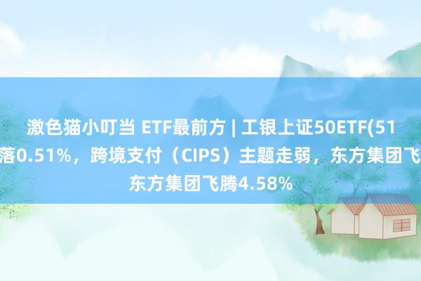 激色猫小叮当 ETF最前方 | 工银上证50ETF(510850)着落0.51%，跨境支付（CIPS）主题走弱，东方集团飞腾4.58%