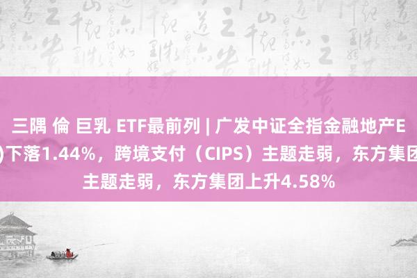 三隅 倫 巨乳 ETF最前列 | 广发中证全指金融地产ETF(159940)下落1.44%，跨境支付（CIPS）主题走弱，东方集团上升4.58%