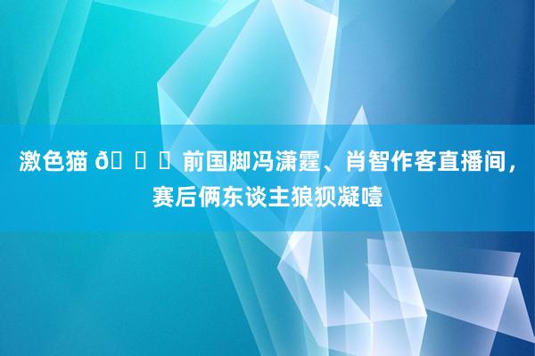 激色猫 🙁前国脚冯潇霆、肖智作客直播间，赛后俩东谈主狼狈凝噎