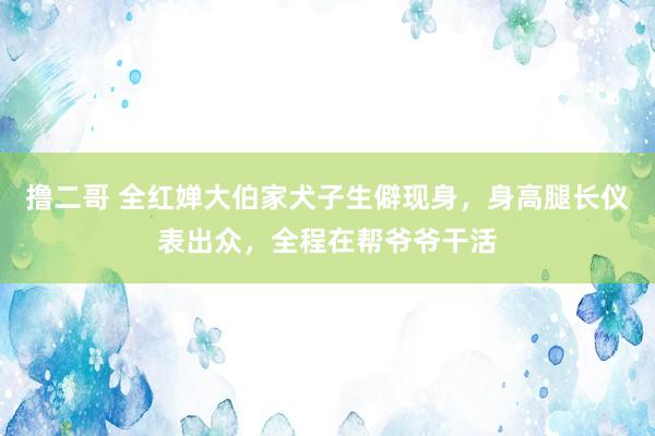 撸二哥 全红婵大伯家犬子生僻现身，身高腿长仪表出众，全程在帮爷爷干活