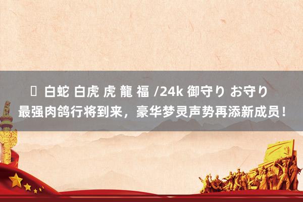 ✨白蛇 白虎 虎 龍 福 /24k 御守り お守り 最强肉鸽行将到来，豪华梦灵声势再添新成员！