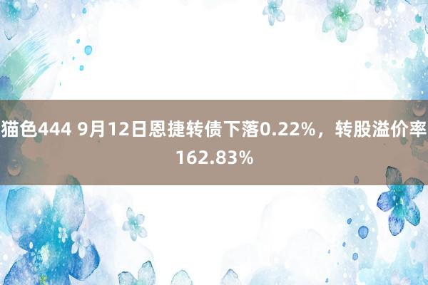 猫色444 9月12日恩捷转债下落0.22%，转股溢价率162.83%