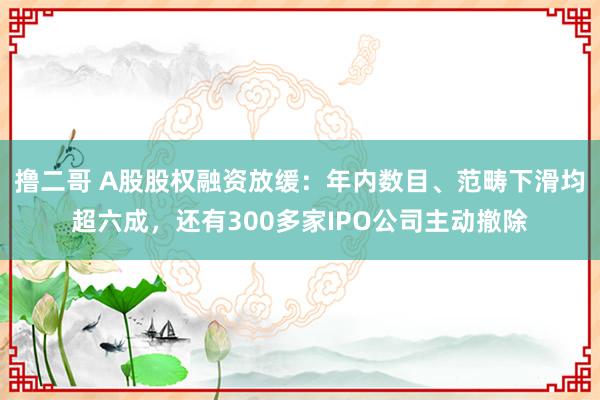 撸二哥 A股股权融资放缓：年内数目、范畴下滑均超六成，还有300多家IPO公司主动撤除