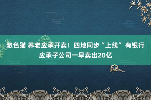 激色猫 养老应承开卖！四地同步“上线” 有银行应承子公司一早卖出20亿