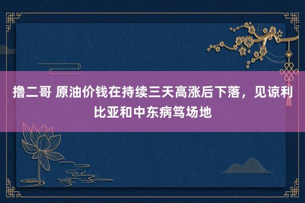 撸二哥 原油价钱在持续三天高涨后下落，见谅利比亚和中东病笃场地