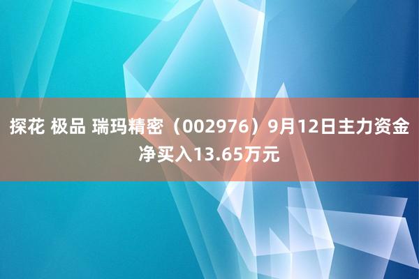 探花 极品 瑞玛精密（002976）9月12日主力资金净买入13.65万元