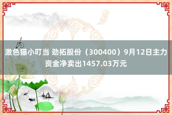 激色猫小叮当 劲拓股份（300400）9月12日主力资金净卖出1457.03万元