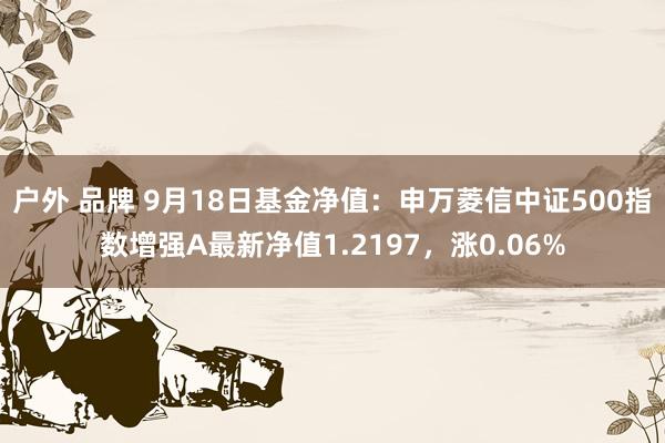 户外 品牌 9月18日基金净值：申万菱信中证500指数增强A最新净值1.2197，涨0.06%