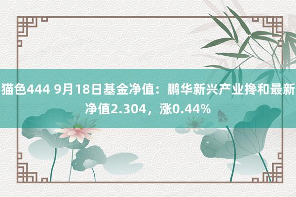 猫色444 9月18日基金净值：鹏华新兴产业搀和最新净值2.304，涨0.44%