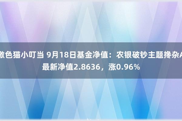 激色猫小叮当 9月18日基金净值：农银破钞主题搀杂A最新净值2.8636，涨0.96%