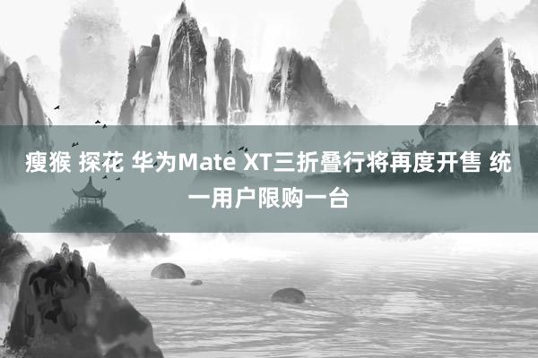 瘦猴 探花 华为Mate XT三折叠行将再度开售 统一用户限购一台