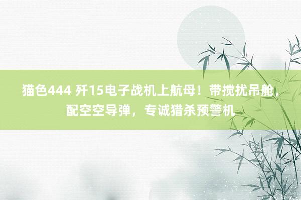 猫色444 歼15电子战机上航母！带搅扰吊舱，配空空导弹，专诚猎杀预警机