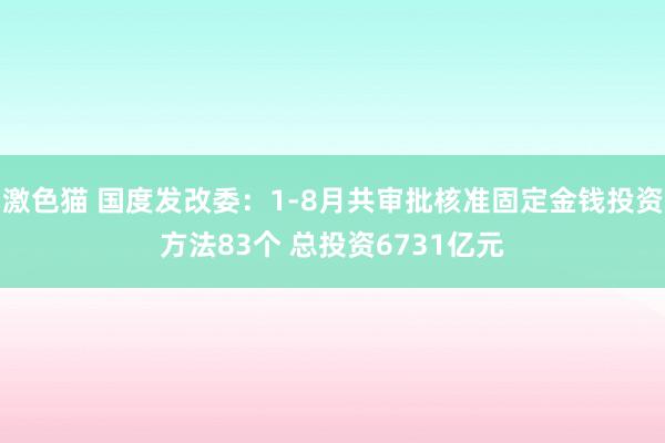 激色猫 国度发改委：1-8月共审批核准固定金钱投资方法83个 总投资6731亿元