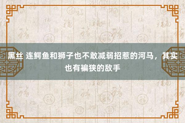 黑丝 连鳄鱼和狮子也不敢减弱招惹的河马，其实也有褊狭的敌手