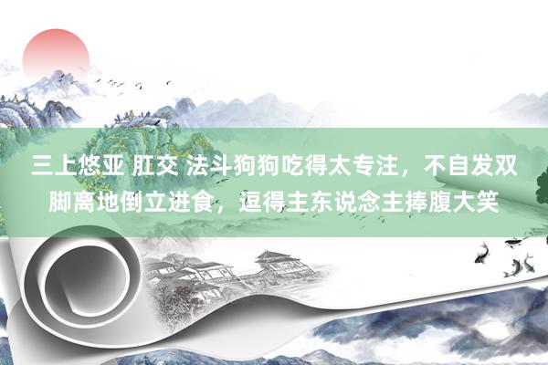 三上悠亚 肛交 法斗狗狗吃得太专注，不自发双脚离地倒立进食，逗得主东说念主捧腹大笑