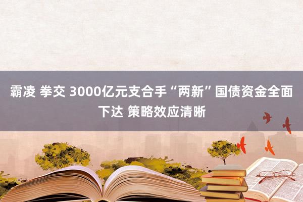 霸凌 拳交 3000亿元支合手“两新”国债资金全面下达 策略效应清晰