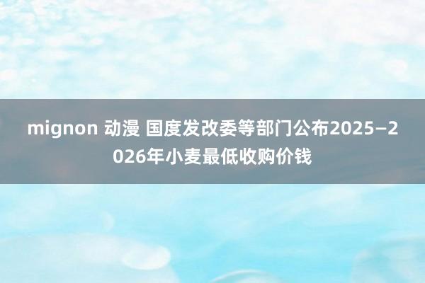 mignon 动漫 国度发改委等部门公布2025—2026年小麦最低收购价钱