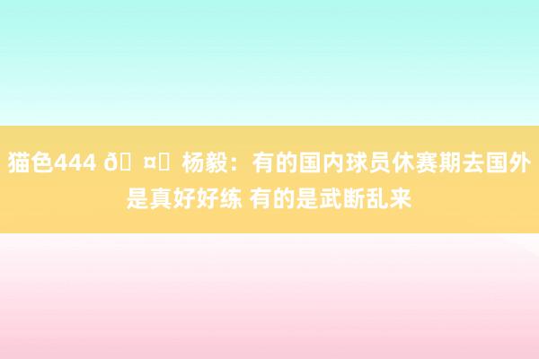 猫色444 🤐杨毅：有的国内球员休赛期去国外是真好好练 有的是武断乱来