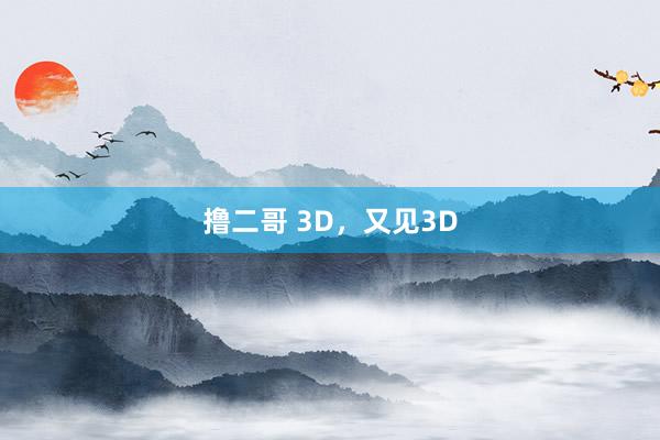 撸二哥 3D，又见3D