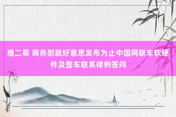 撸二哥 商务部就好意思发布为止中国网联车软硬件及整车联系律例答问