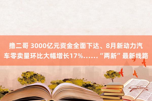 撸二哥 3000亿元资金全面下达、8月新动力汽车零卖量环比大幅增长17%……“两新”最新线路