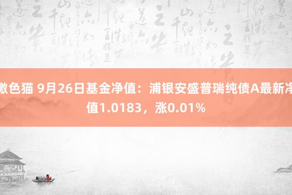 激色猫 9月26日基金净值：浦银安盛普瑞纯债A最新净值1.0183，涨0.01%