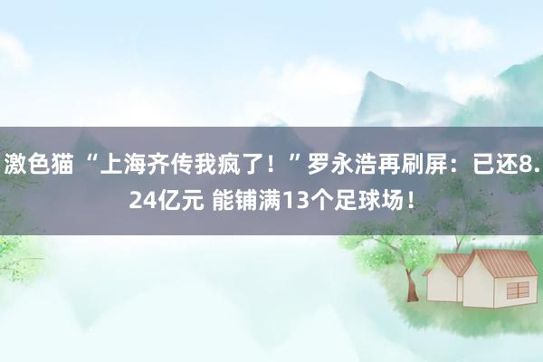 激色猫 “上海齐传我疯了！”罗永浩再刷屏：已还8.24亿元 能铺满13个足球场！