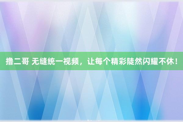 撸二哥 无缝统一视频，让每个精彩陡然闪耀不休！