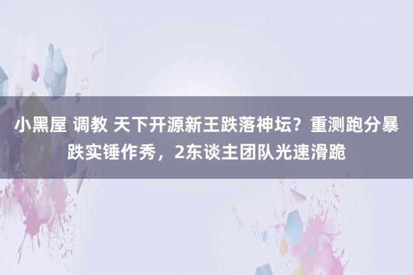 小黑屋 调教 天下开源新王跌落神坛？重测跑分暴跌实锤作秀，2东谈主团队光速滑跪