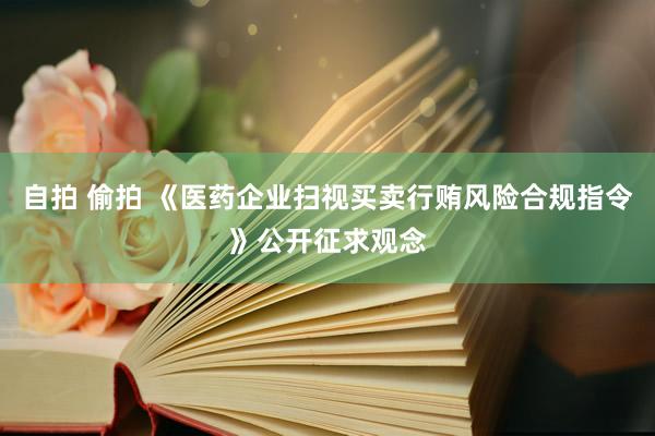 自拍 偷拍 《医药企业扫视买卖行贿风险合规指令》公开征求观念