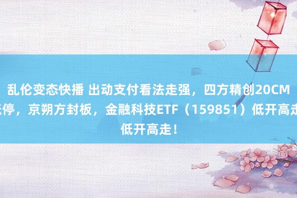 乱伦变态快播 出动支付看法走强，四方精创20CM涨停，京朔方封板，金融科技ETF（159851）低开高走！