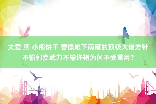 文爱 胸 小熊饼干 曹操帐下荫藏的顶级大佬方针不输郭嘉武力不输许褚为何不受重用？