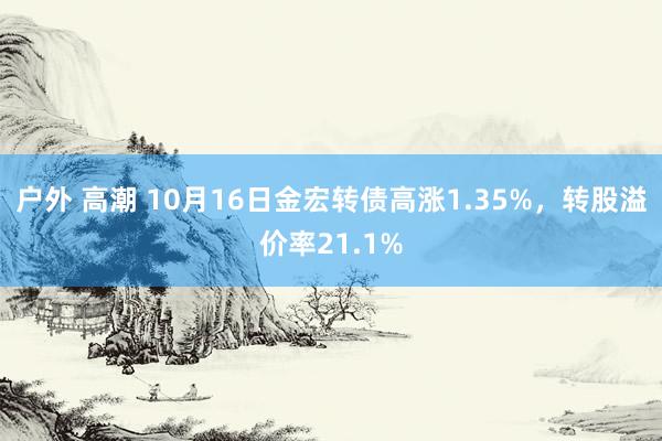 户外 高潮 10月16日金宏转债高涨1.35%，转股溢价率21.1%