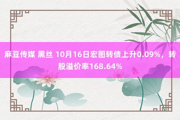 麻豆传媒 黑丝 10月16日宏图转债上升0.09%，转股溢价率168.64%