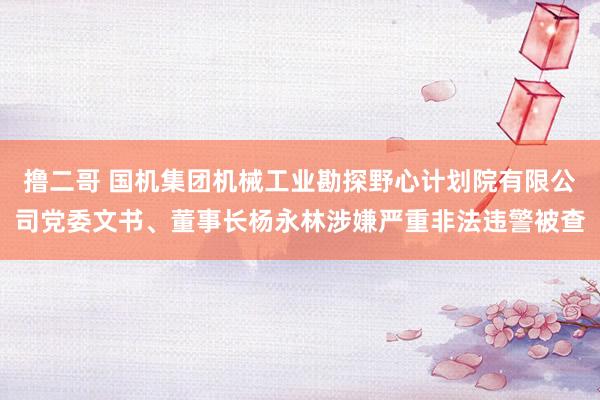 撸二哥 国机集团机械工业勘探野心计划院有限公司党委文书、董事长杨永林涉嫌严重非法违警被查