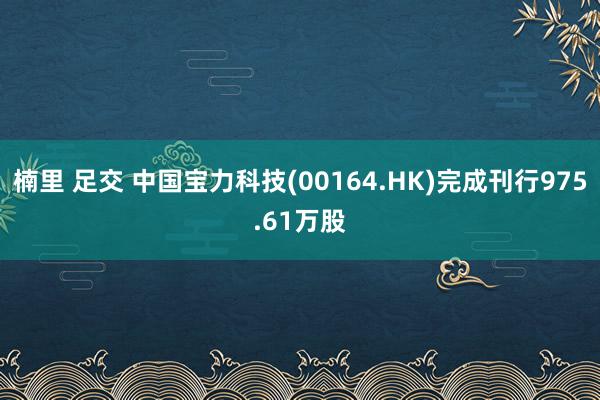 楠里 足交 中国宝力科技(00164.HK)完成刊行975.61万股