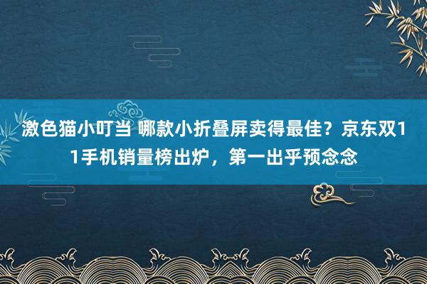 激色猫小叮当 哪款小折叠屏卖得最佳？京东双11手机销量榜出炉，第一出乎预念念